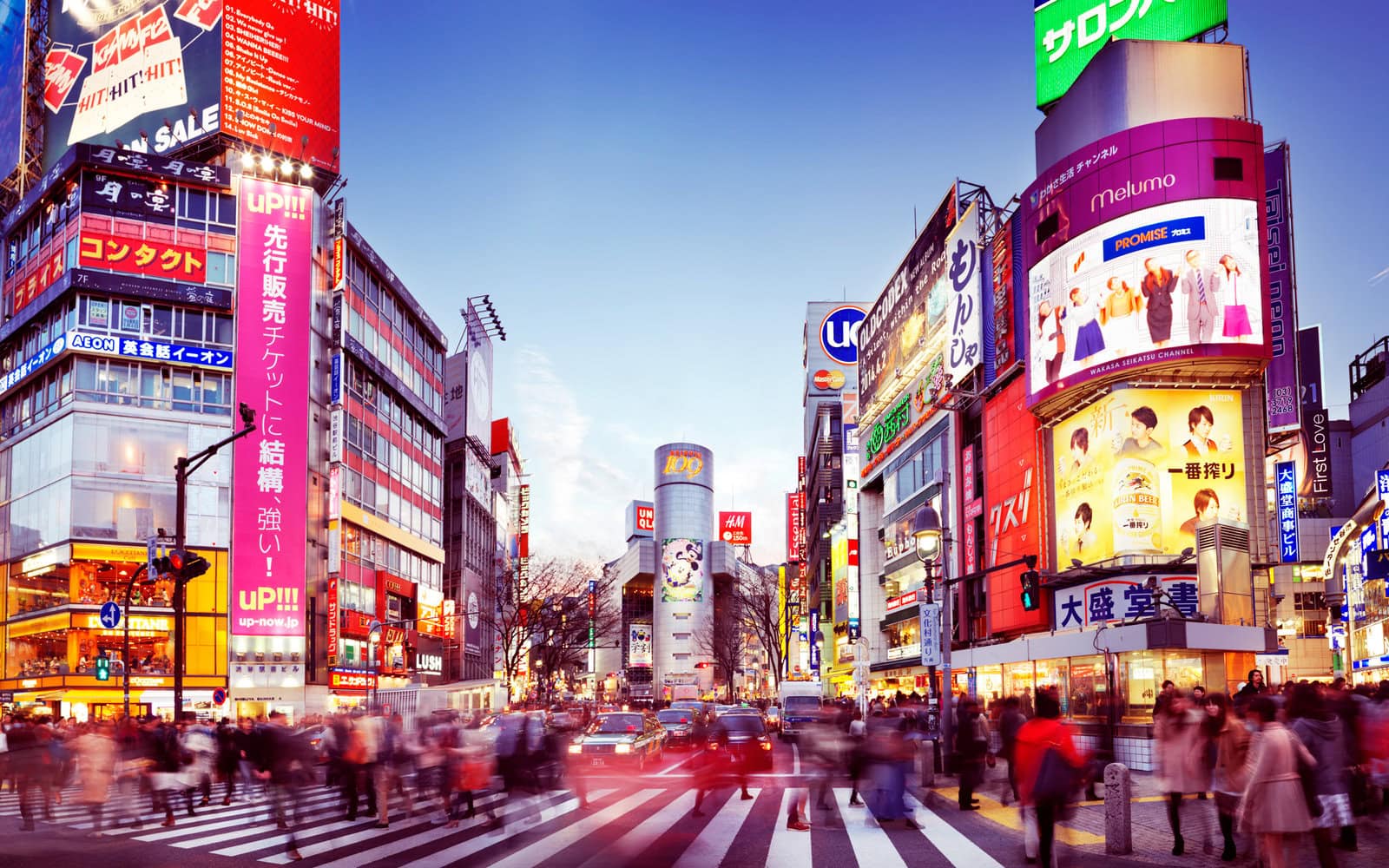 10 Things You Must Do In Tokyo We Are Travel Girls 