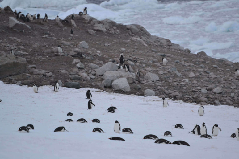 Camping In Antarctica | We Are Travel Girls