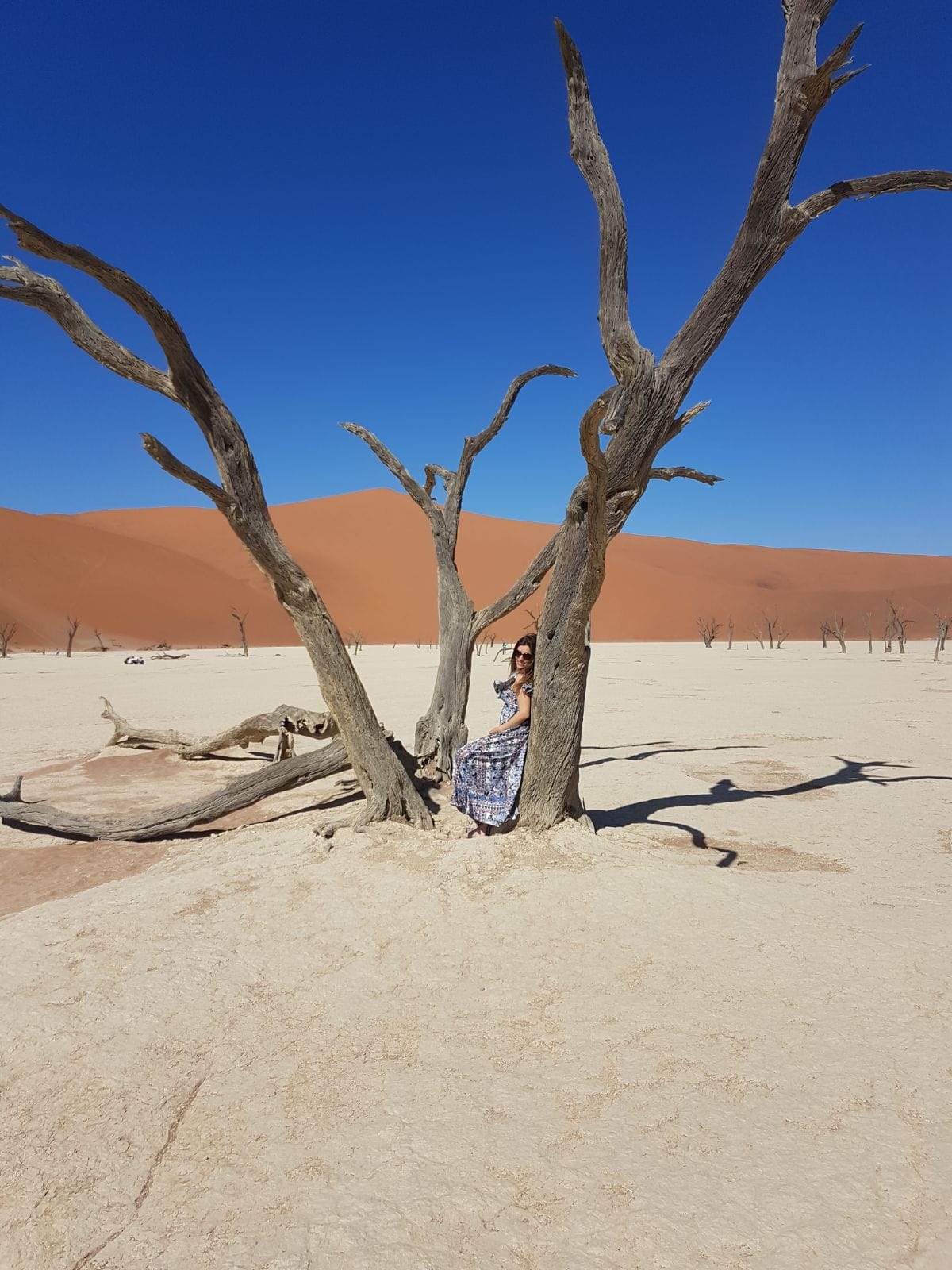 5 Reasons To Visit The Namib Desert In Namibia We Are Travel Girls 5923