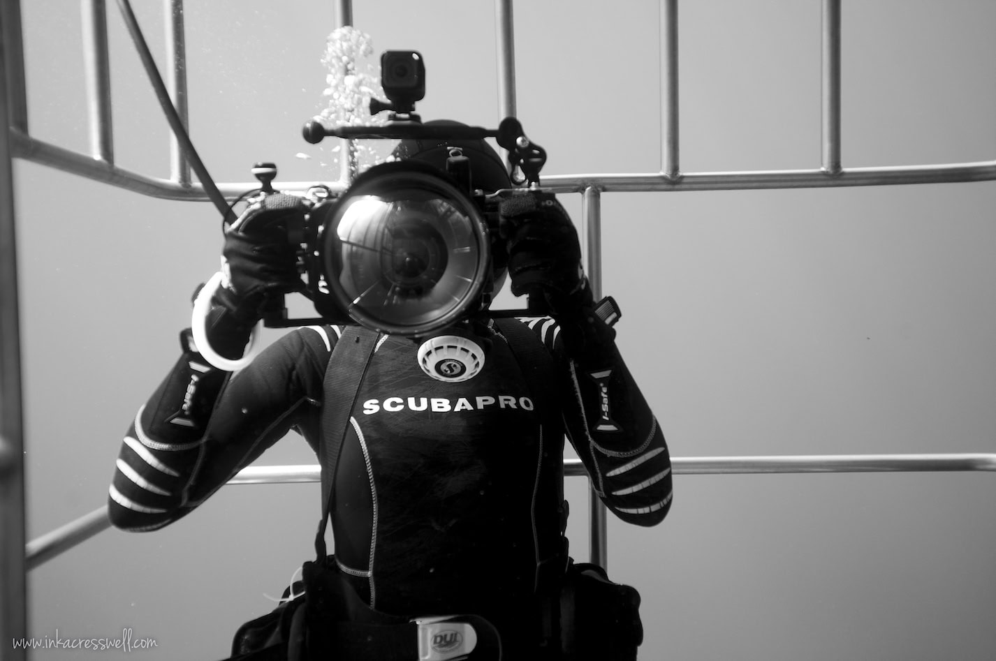 9 Reasons Diving With Great White Sharks In Guadalupe Should Be On Your Bucket List