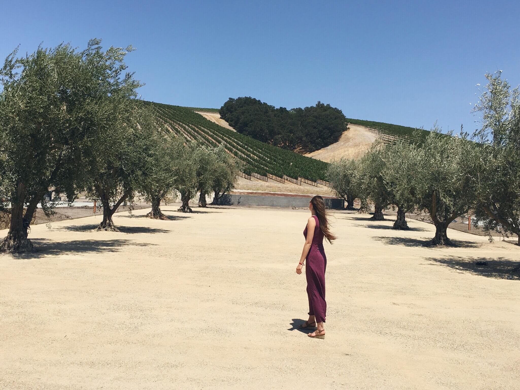 https://wearetravelgirls.com/wp-content/uploads/2018/05/Hidden-Gem-Wine-Tasting-Paso-Robles-California.jpg