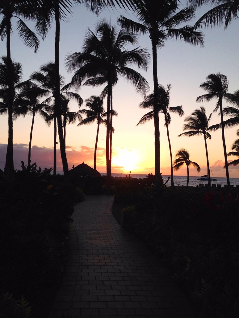 8 Things Not To Miss In Maui, Hawaii We Are Travel Girls