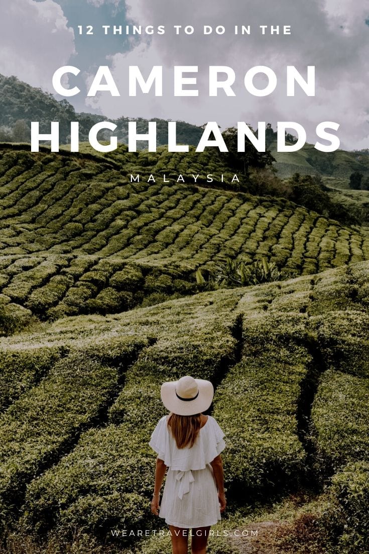 The 12 Best Things To Do In The Cameron Highlands We Are Travel Girls   12 Things To Do In The Cameron Highlands 6 