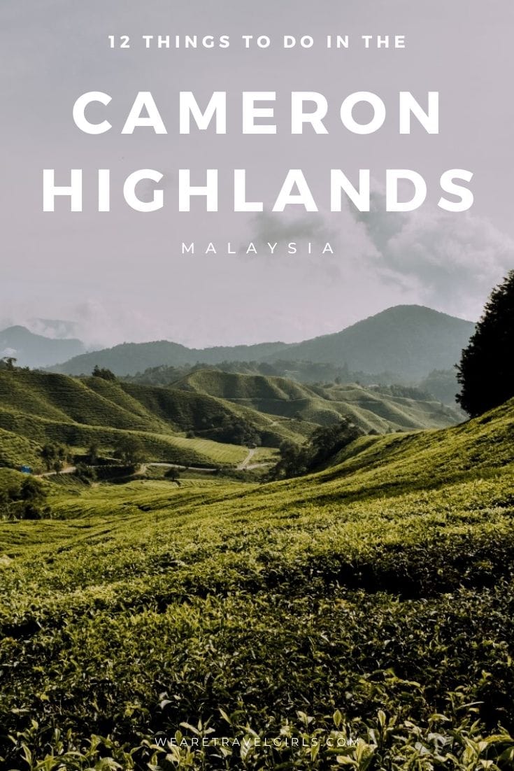 The 12 Best Things To Do In The Cameron Highlands | We Are Travel Girls