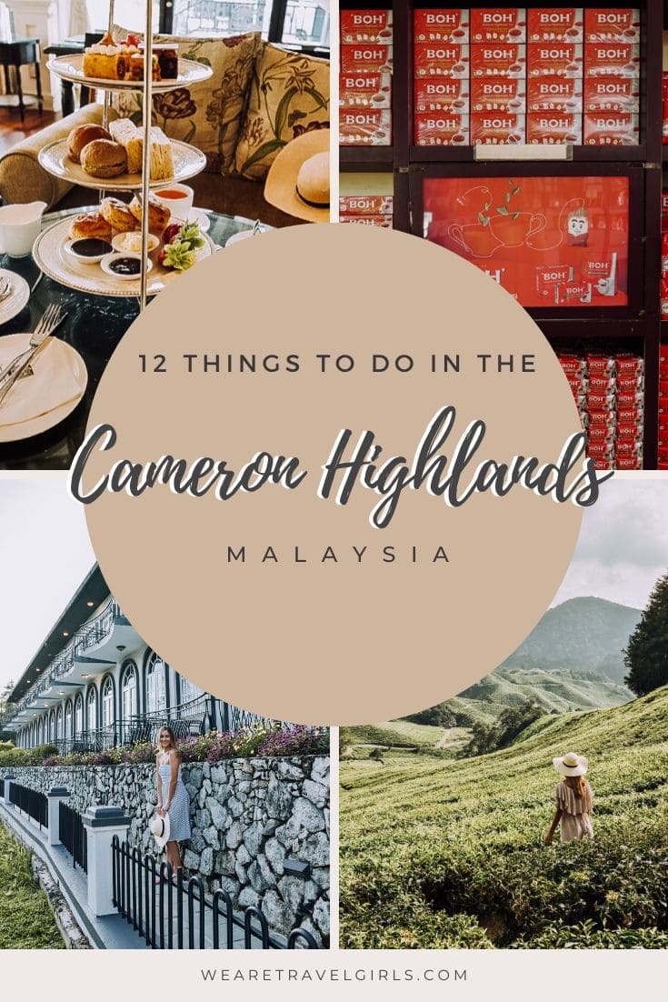 The 12 Best Things To Do In The Cameron Highlands | We Are Travel Girls