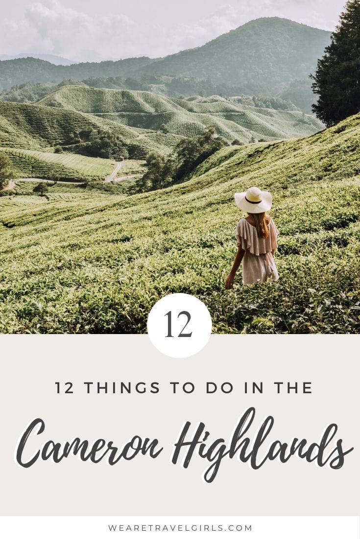 12 Things To Do In The Cameron Highlands 9 